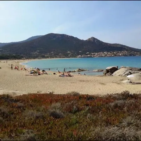 T2 Neuf Climatise Dans A Corbara