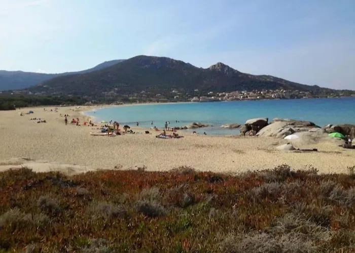 T2 Neuf Climatise Dans A Corbara